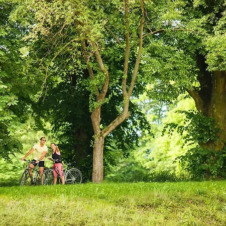 Hotel Gotthard Therme & Conference 4*